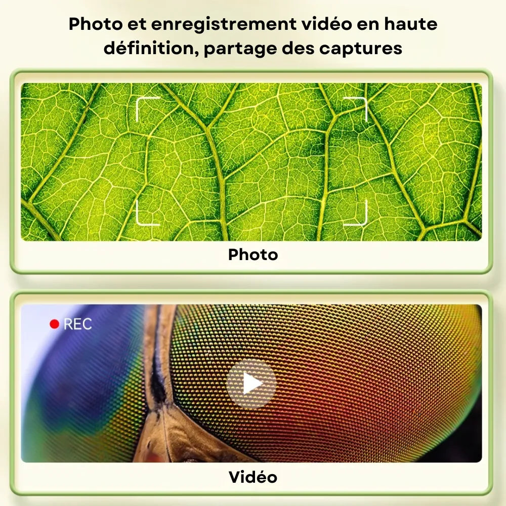 MiniVision - Digital Microscope